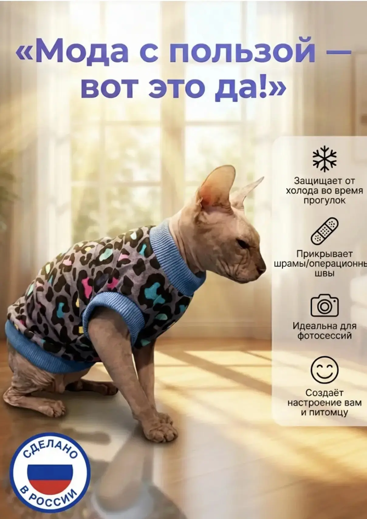 🐾 Привет, друзья!🐾