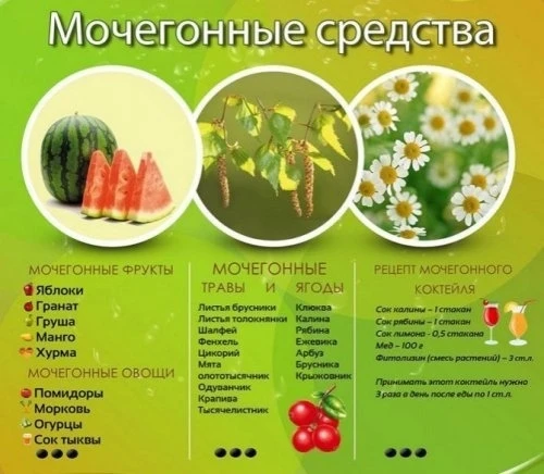 🍃☕ СПИСОК МОЧЕГОННЫХ ТРАВ

Вот список мочегонных трав, которые можно применять для облегчения самоч