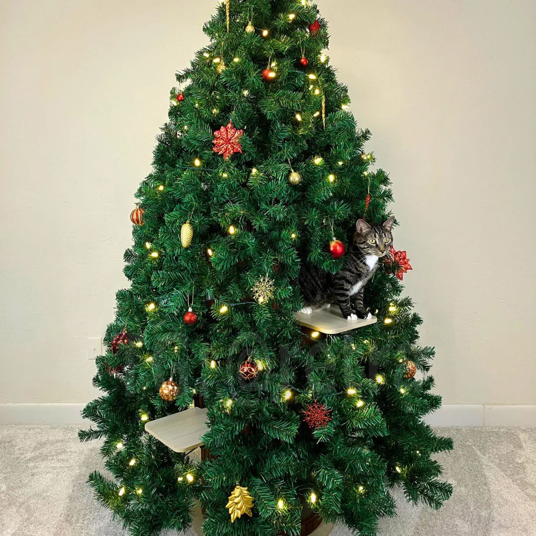 🎄 Новогодняя елка ДЛЯ КОТОВ сейчас хайпует в соцсетях — это главный тренд среди кошатников  Компания