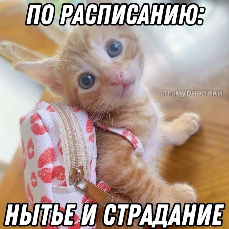 ОВЕН, 22 июня. Мы меняем твое расписание на смех и радость

🛑Твои личные предсказания судьбы в наше