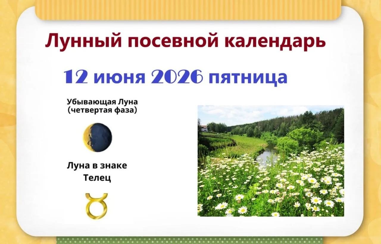 1️⃣2️⃣ июня, пятница