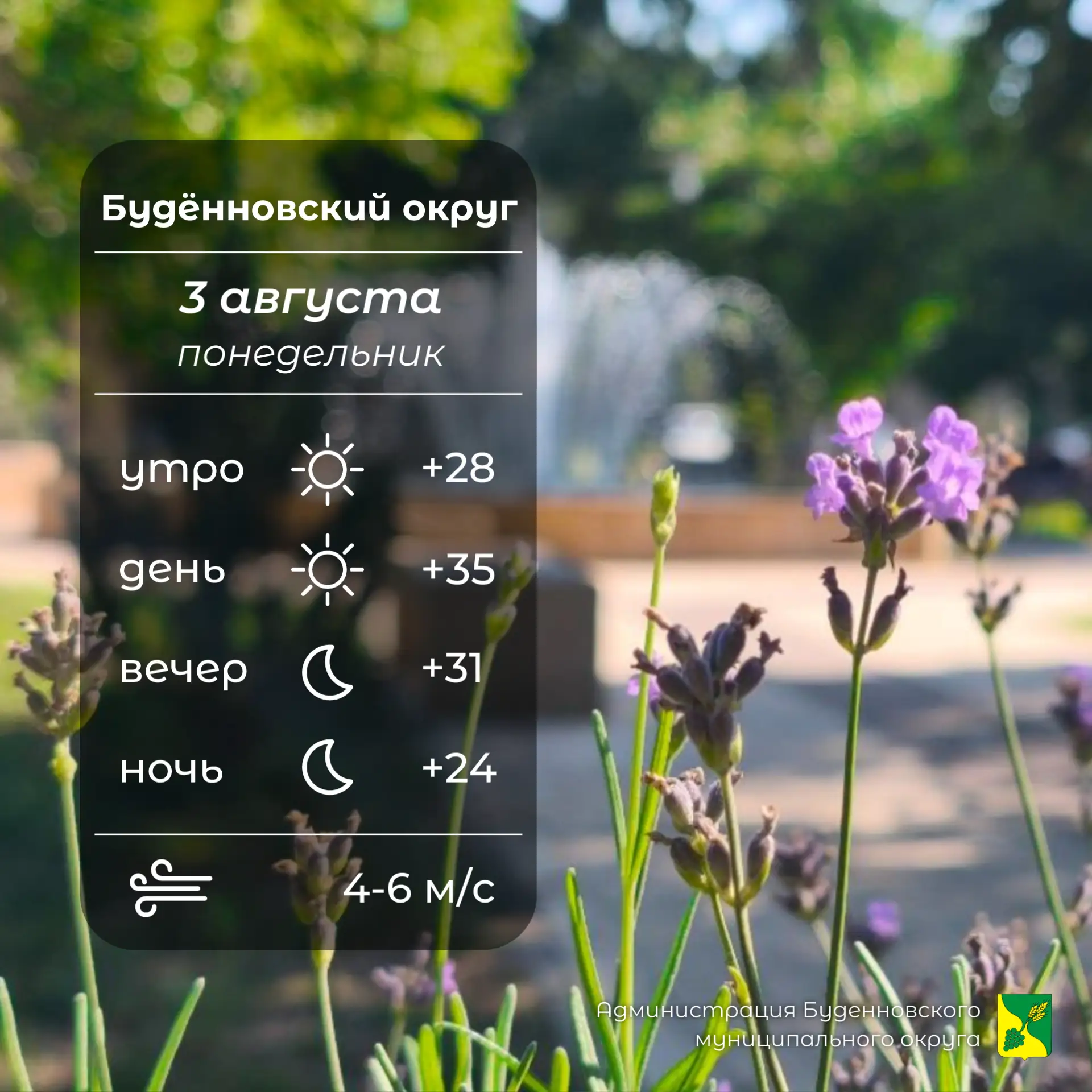 ☀️Сегодня в Буденновском округе ясно, без осадков. Температура воздуха +24…⁠+35°. Ветер...