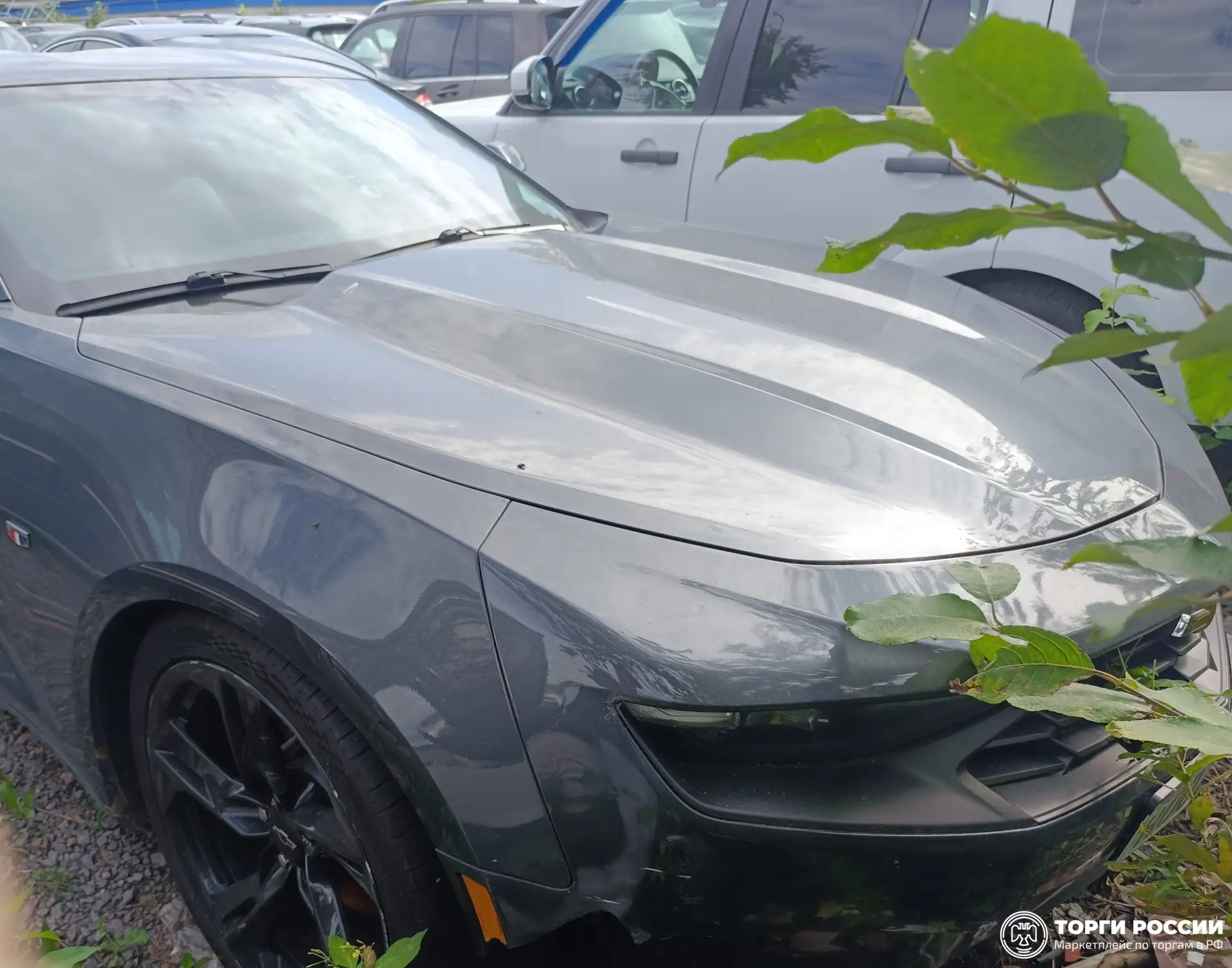 Транспортное средство. Модель: CHEVROLET Camaro. Тип КПП: АКПП. VIN 1G1FB1RX5L0136213. ...