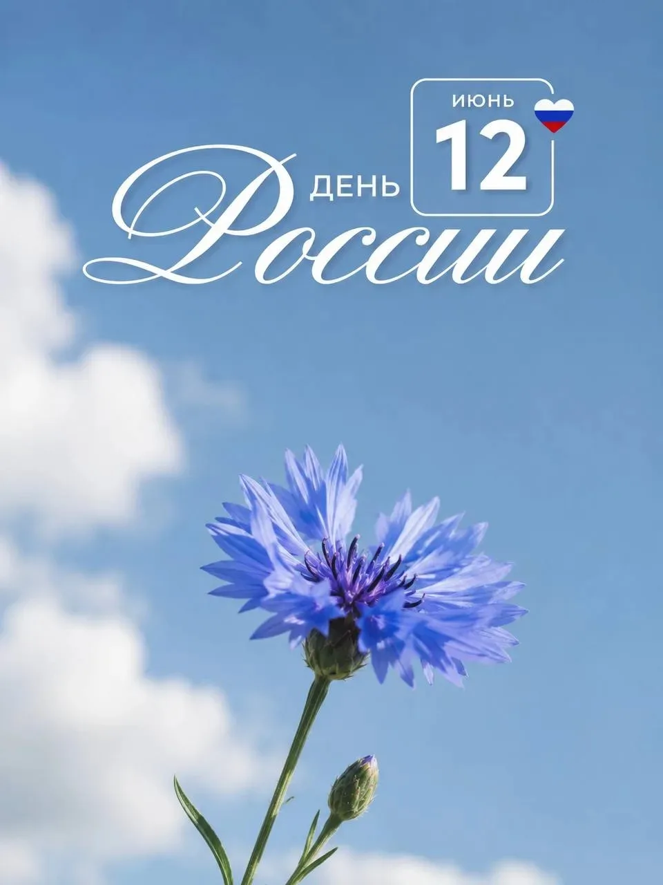 С праздником, дорогие подписчики! С Днём России! 🇷🇺