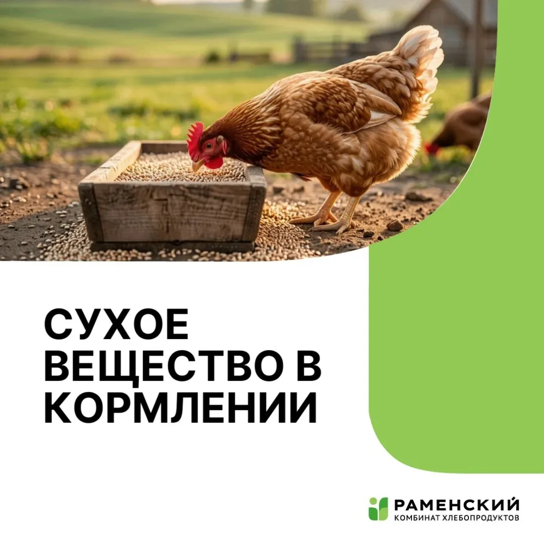 Что такое сухое вещество?