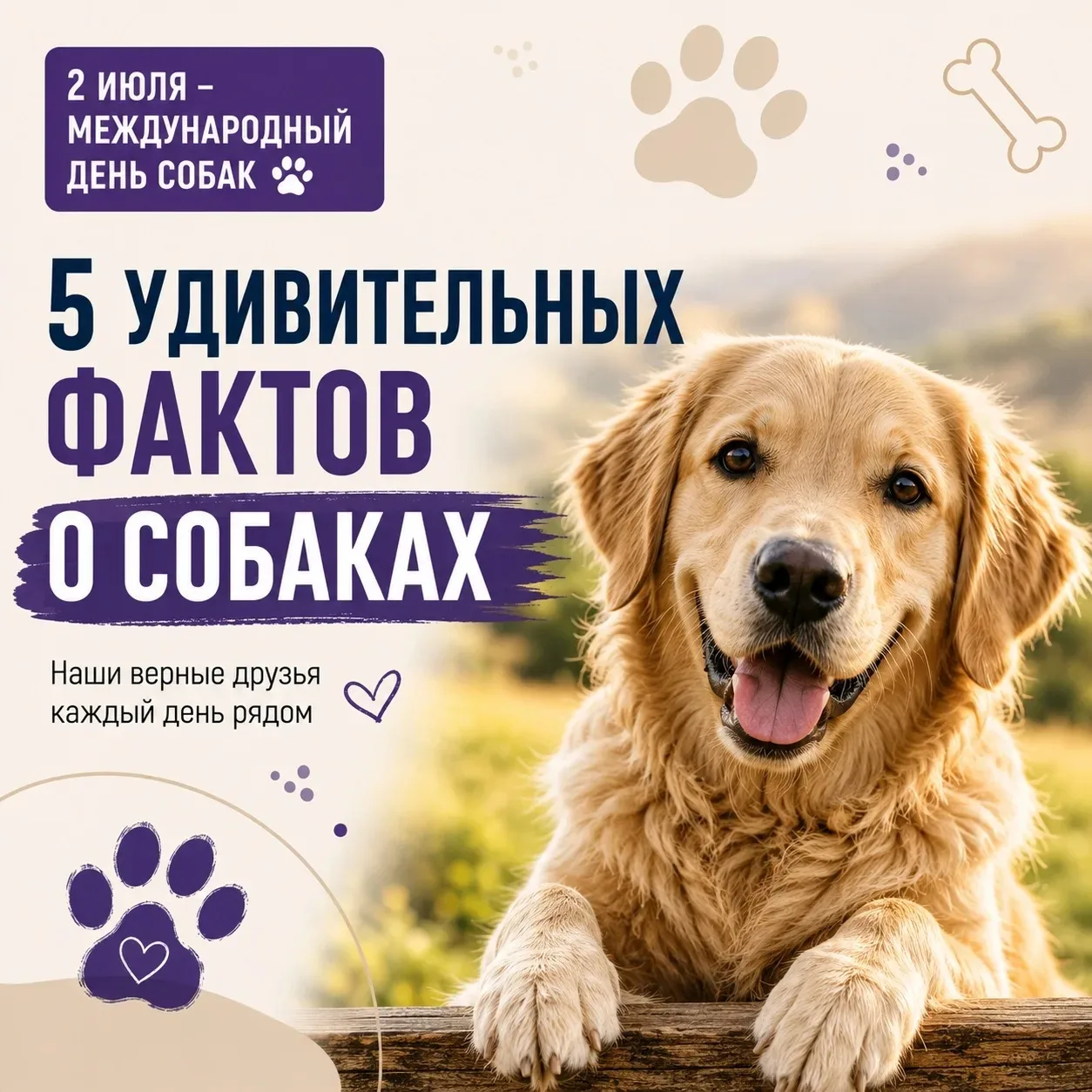 🐶 Международный день собак

2 июля отмечается Международный день собак – праздник, посвящённый наши