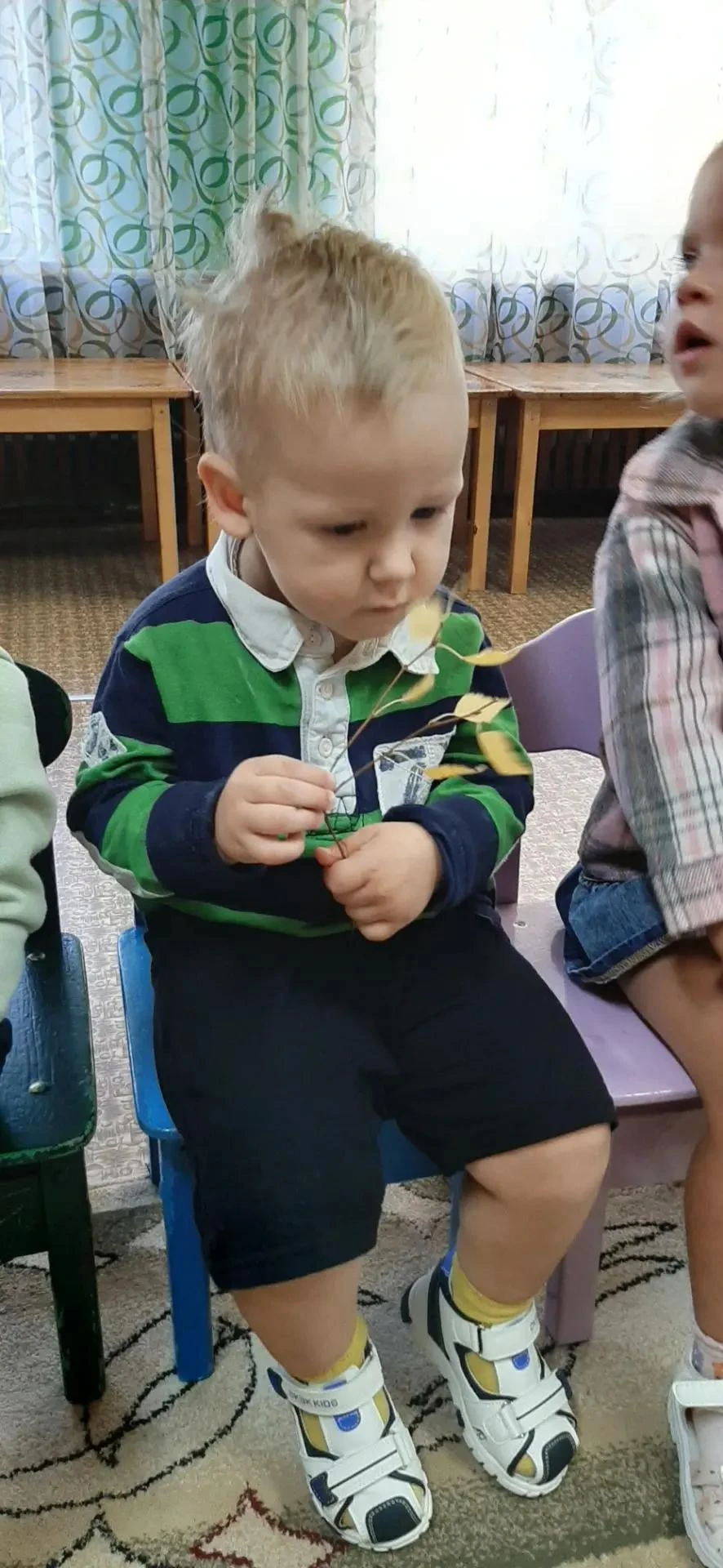 🌳🌿 Знакомство с природой родного края! 🐥