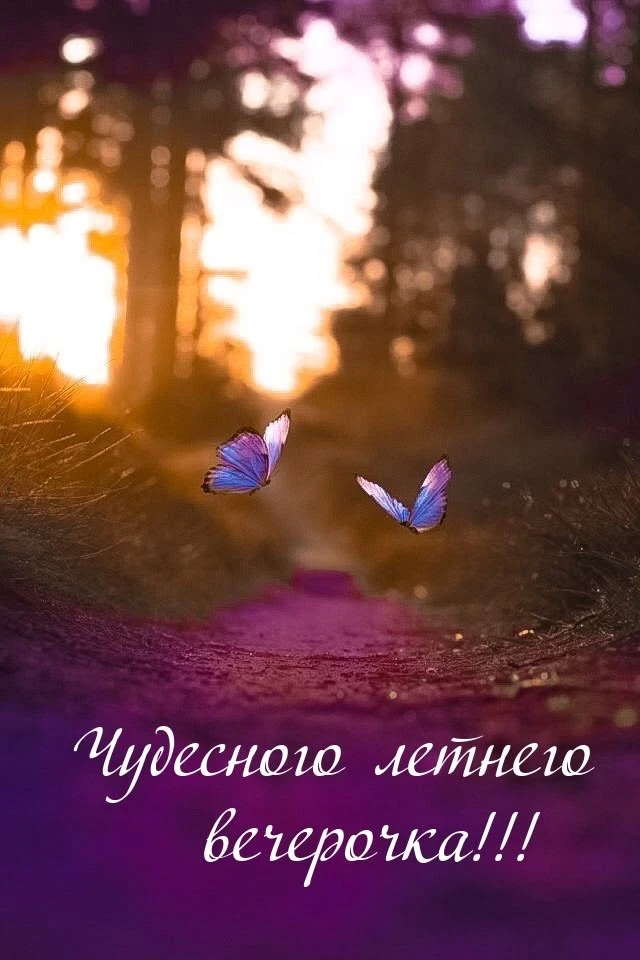 #хорошеговечера