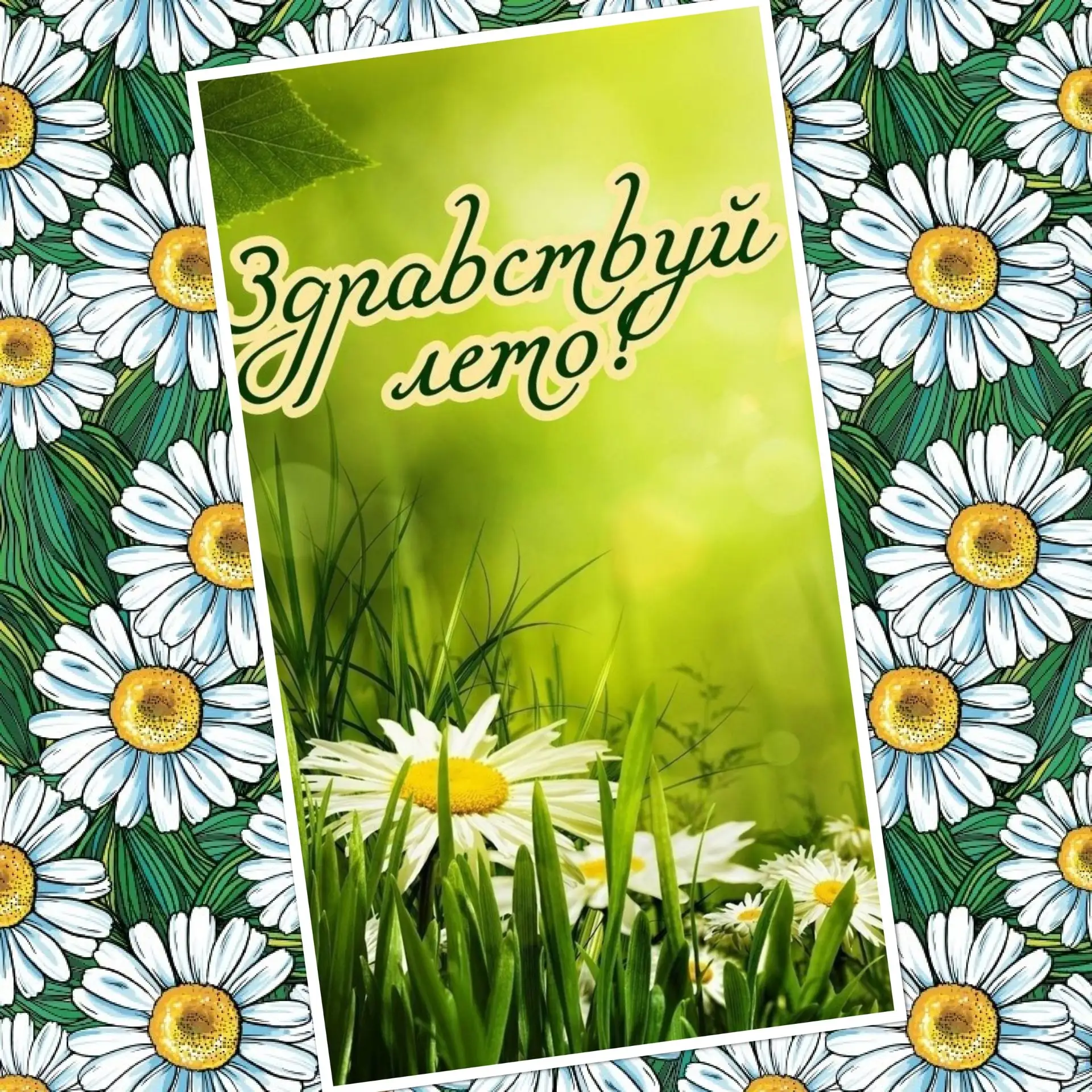 Лето в самом разгаре🌞 — а у наших «Ежат» прошла целая неделя удивительных летних приключений! ✨Ребя