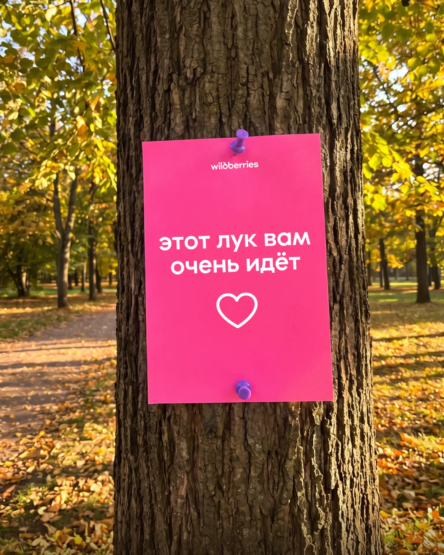 Изображение 3 к публикации «WILDBERRIES»