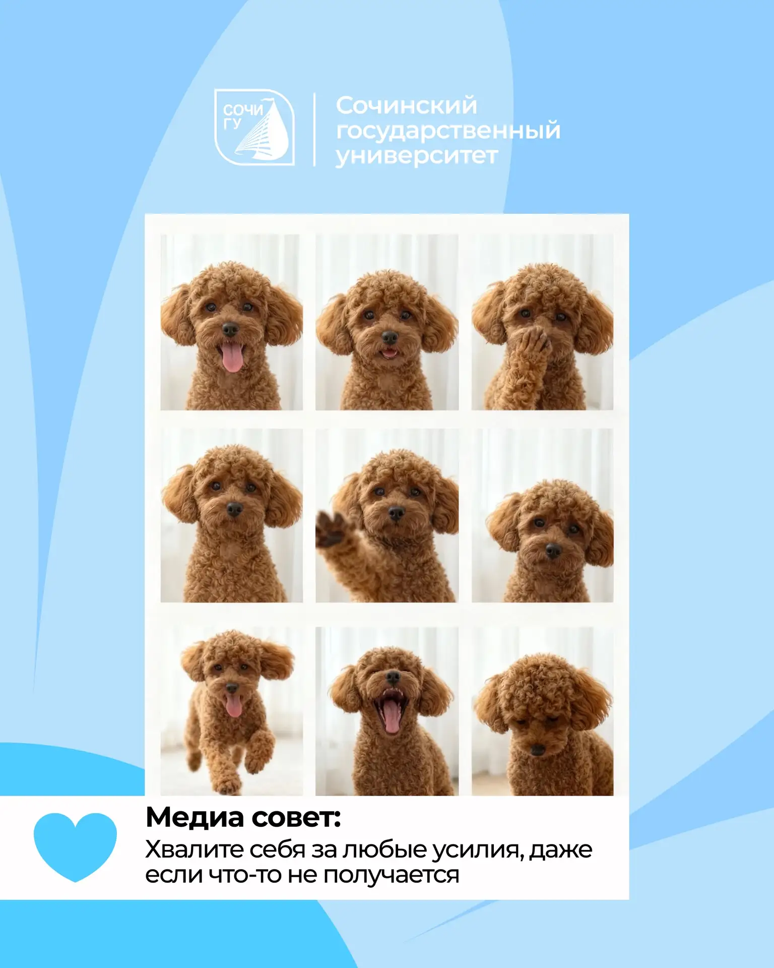 Доброе утро, СочиГУ 💙

Показывайте, как проводите эти прекрасные, солнечные дни. С нас хорошее наст