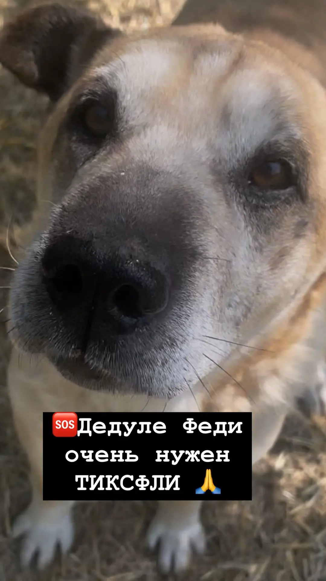 Понимаем, что у всех праздник, но наши проблемы не ждут и не отдыхают …