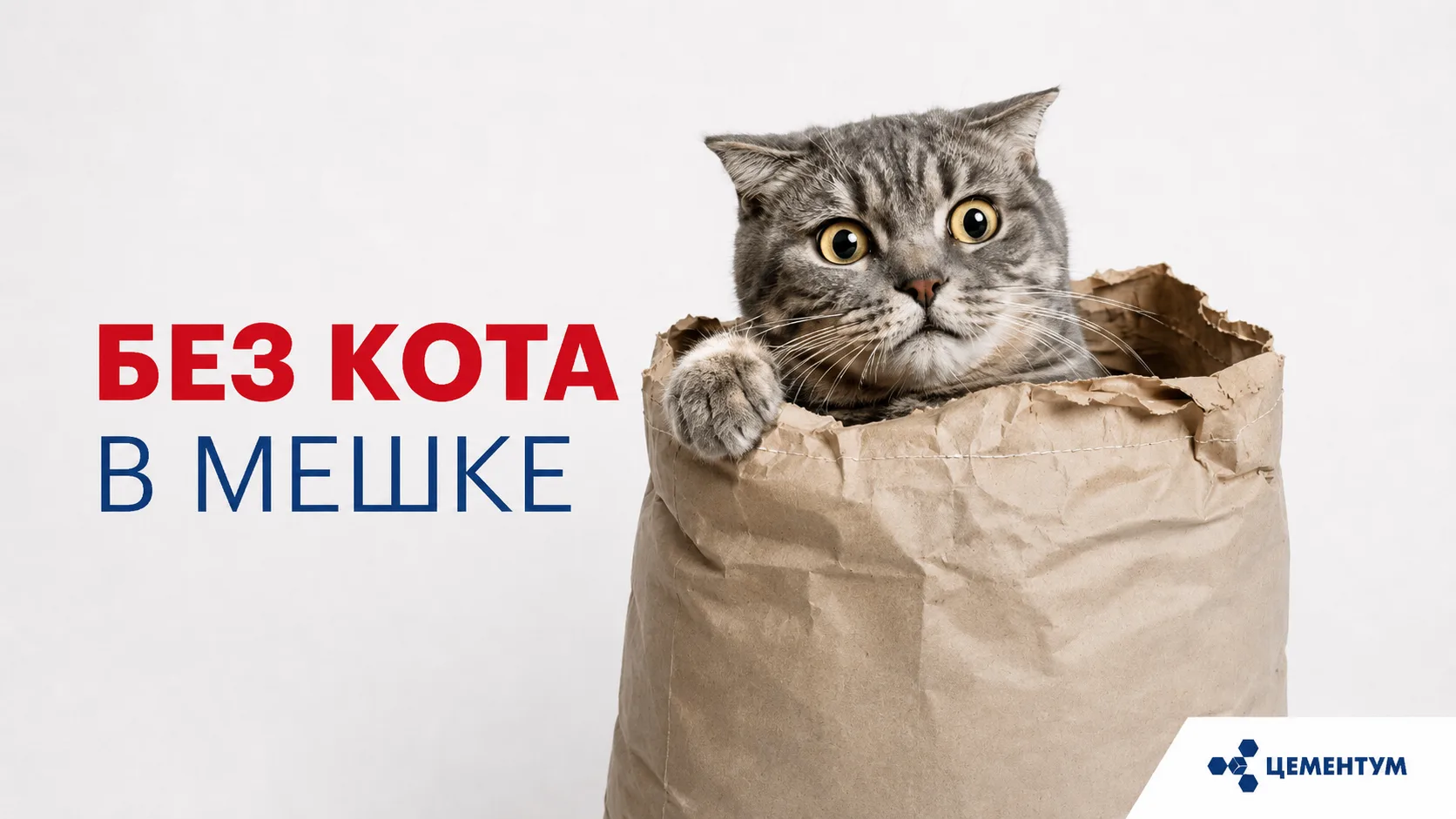 Купил строительную смесь на 20% дешевле рынка - а получил мешок неизвестных компонентов. Ситуация, с