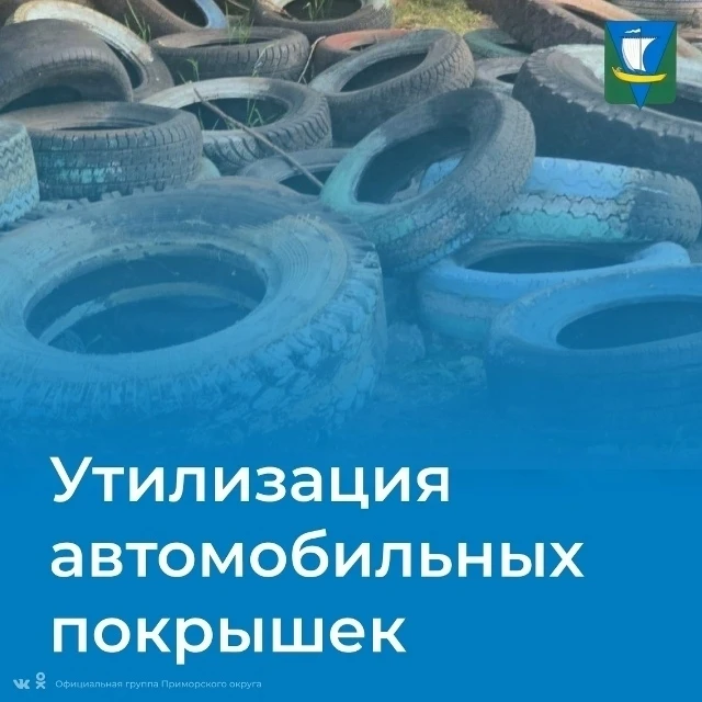 Утилизация автомобильных покрышек жителями Приморского округа