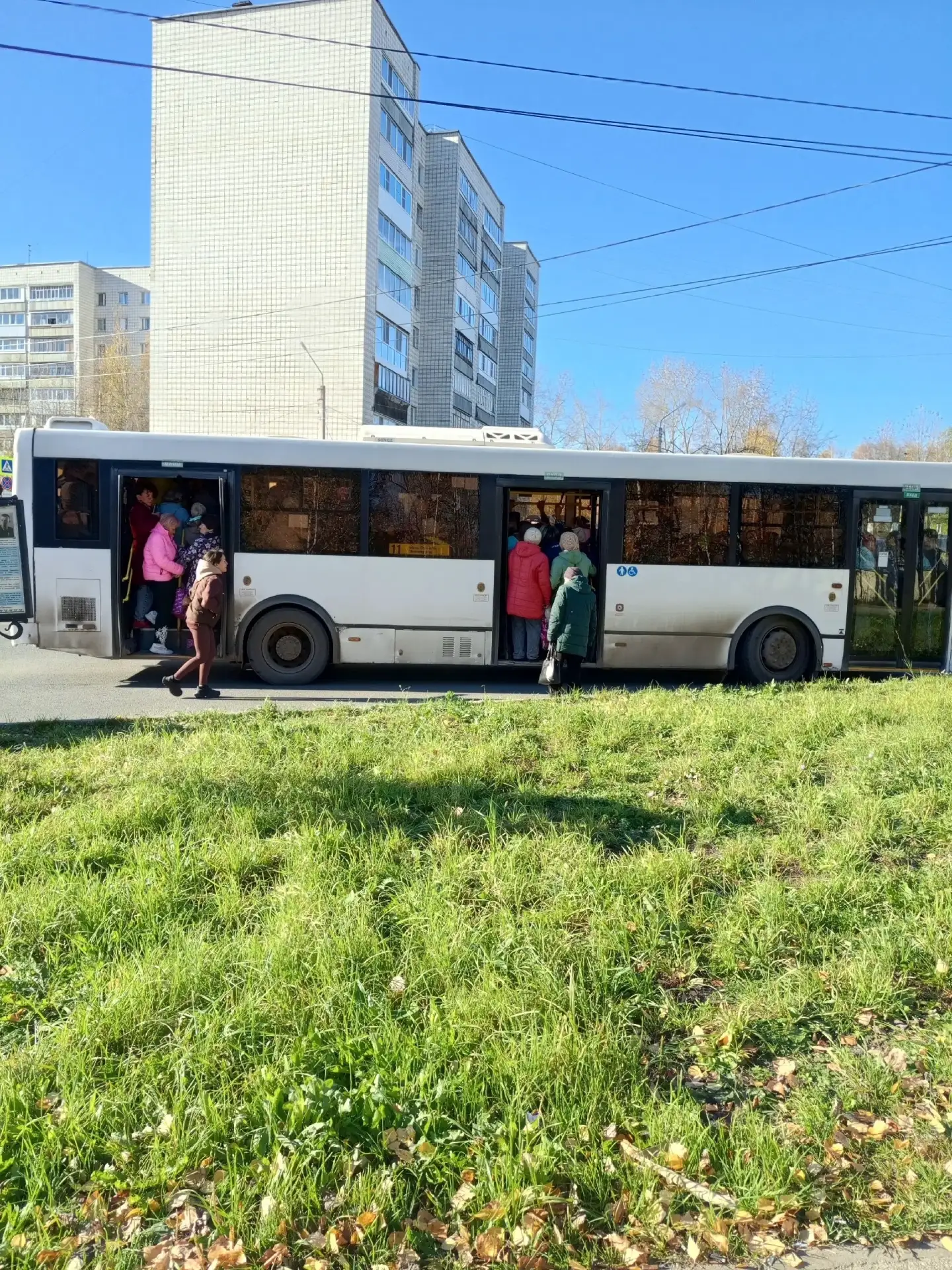 «В автобусах уже опасно»: жители дачного массива требуют добавить автобусы на маршрут №11