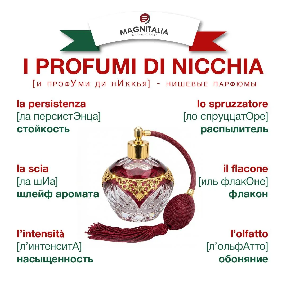 #инфографика

i profumi di nicchia [и профУми ди нИккья] - нишевые парфюмы👃

✔️la scia [ла шИа] – ш
