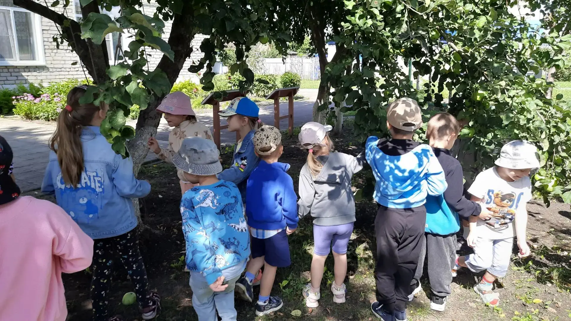 🍎День фруктов в группе "Солнечные лучики".🍑