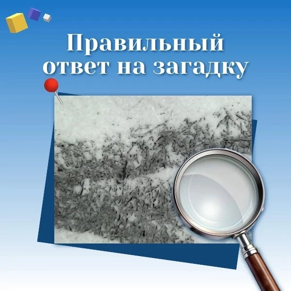 Возвращаемся с правильным ответом на загадку! ✨

📍На фото под микроскопом изображен след графитовог
