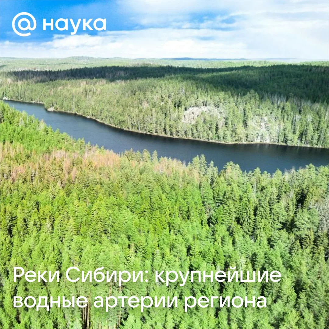 💧Реки Сибири: крупнейшие водные артерии региона