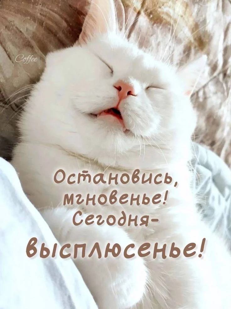 Остановитесь на мгновение. ❤️