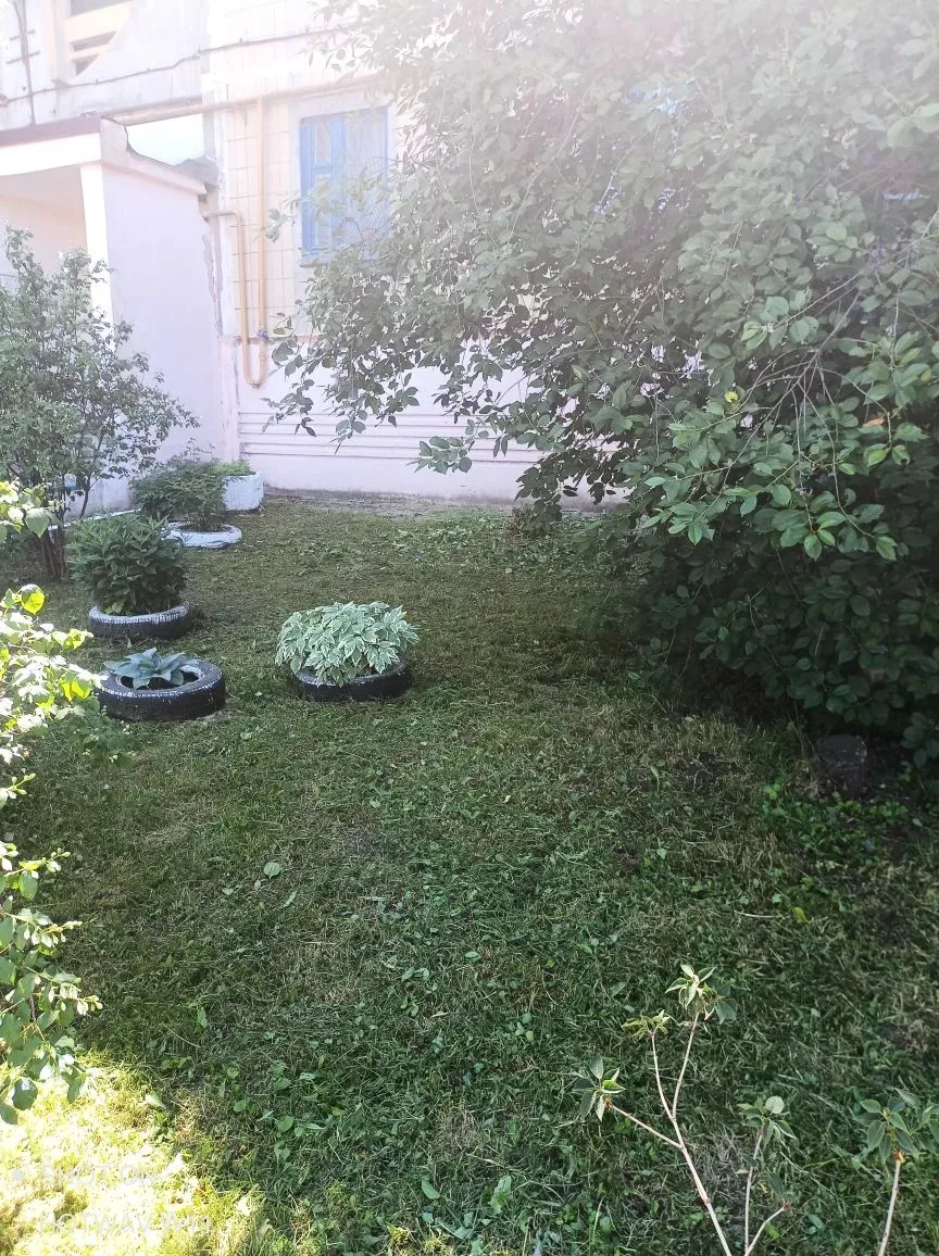 🌾 Покос травы: ул. Соколова, д.96

Сегодня сотрудники УК «Альянс» провели плановый покос травы на п