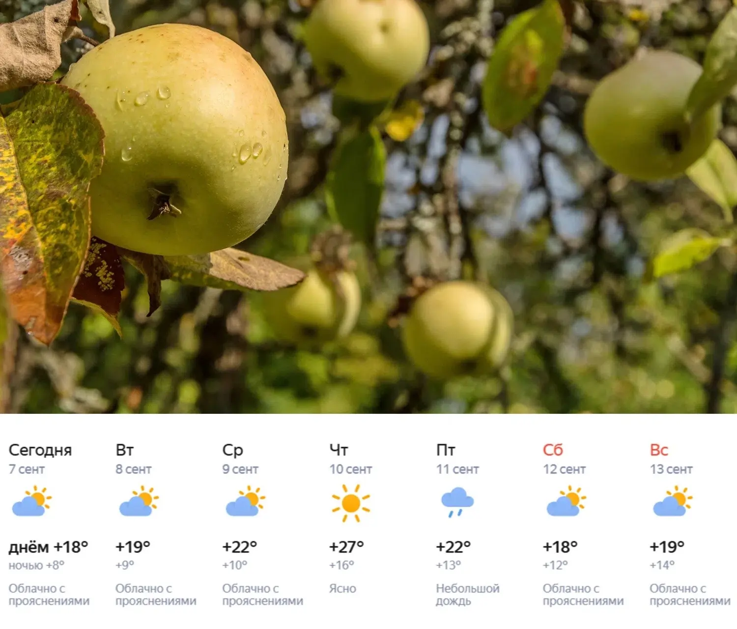 🍏 Доброе утро!