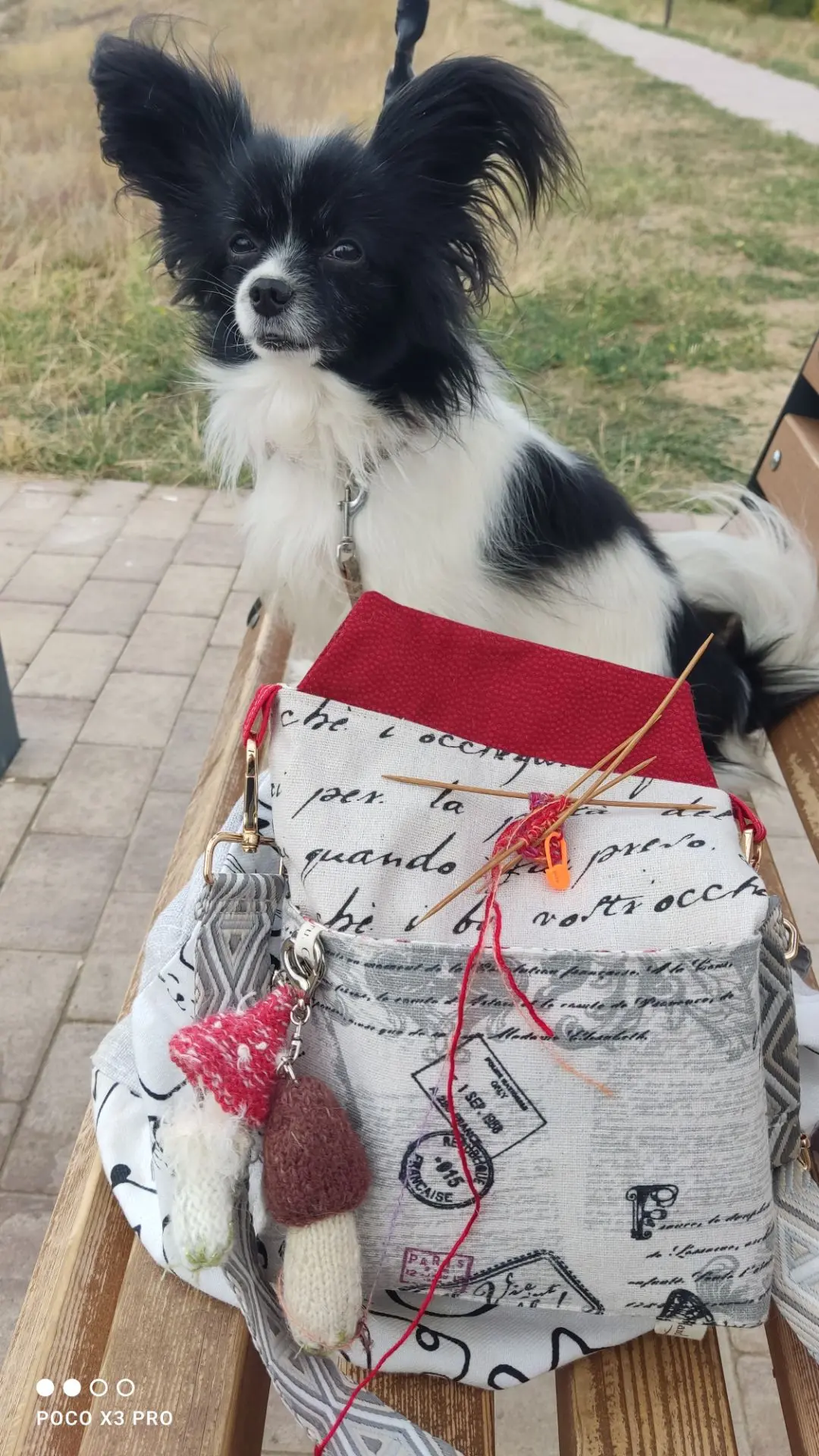Сегодня про гуляние и вязание))) Повязали на лавочке. Погуляли👍