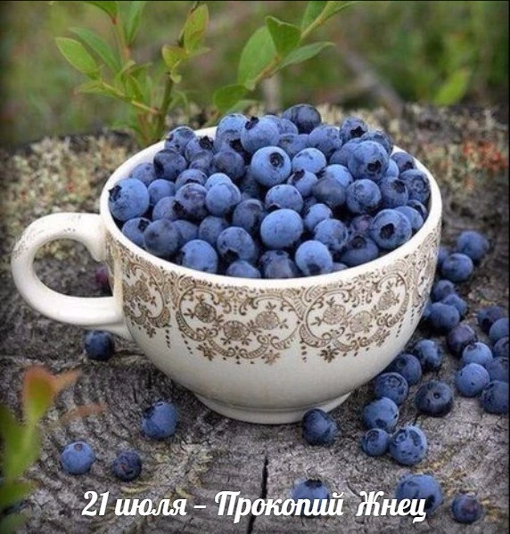 🌼21 июля — Прокопий Жнец.
Святой великомученик Прокопий, память которого отмечается в этот день,  б