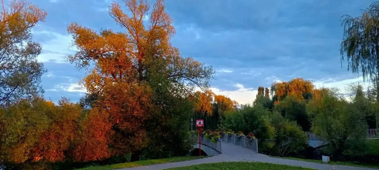 Золотая осень прекрасна 🍁