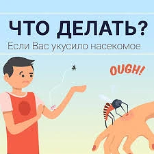 🦟🐝Укусы комаров, пчёл, ос, шмелей и мошек, что нужно знать об этом...