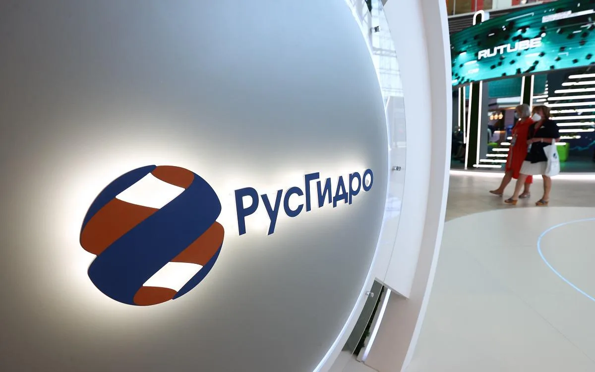 РусГидро реализует системные меры по повышению надёжности электросетей Дальнего Востока

Первый заме