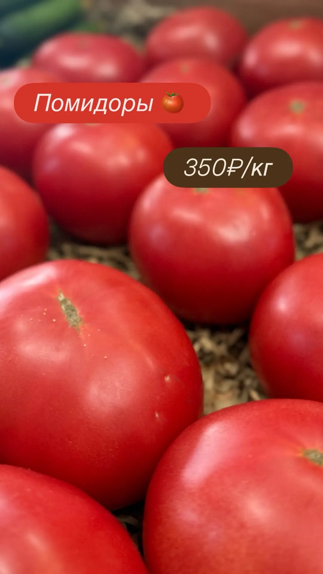 Помидоры 🍅