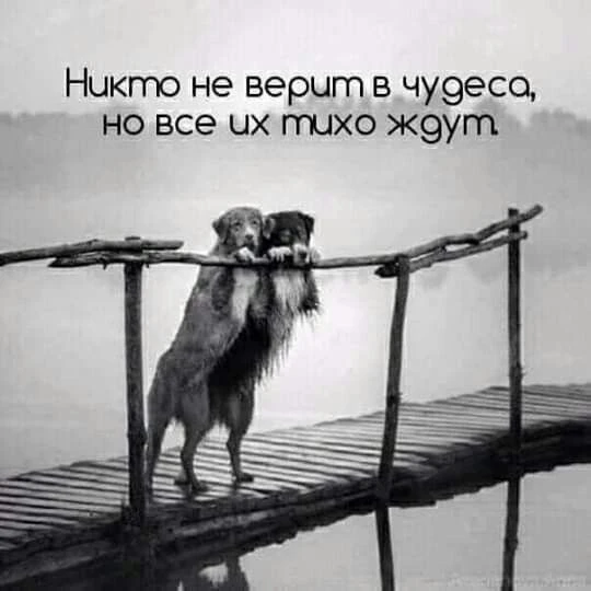 Цитаты жизни