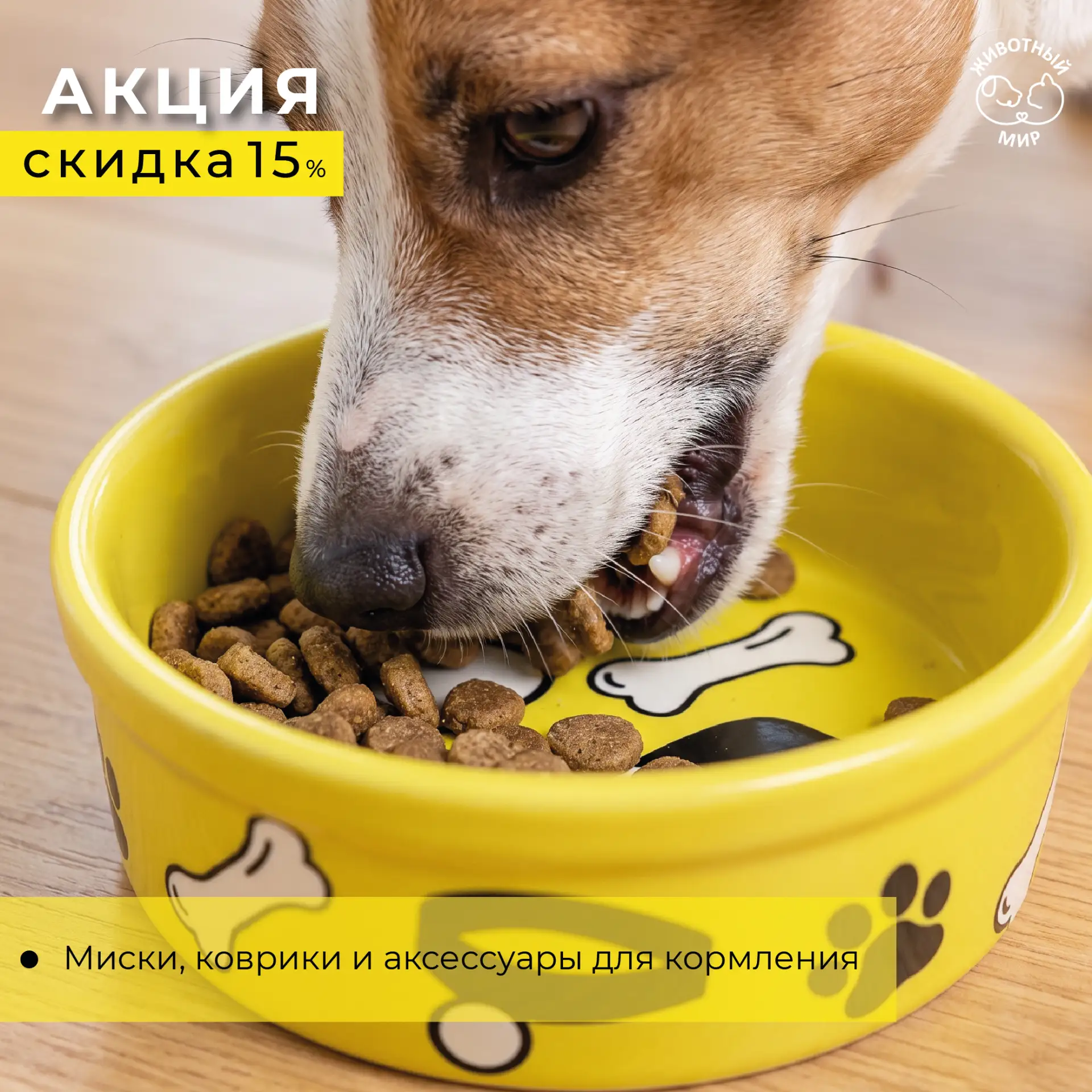 🐾 Скидка 15% на миски, коврики и аксессуары для кормления!