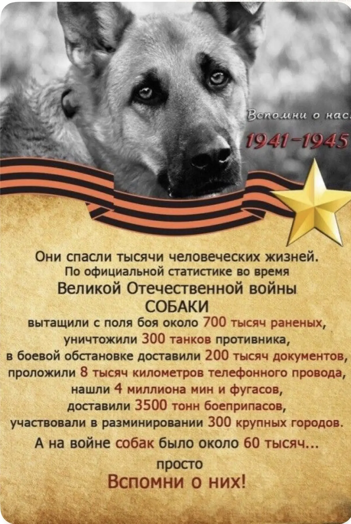 С Днём Победы!!! Великий праздник 🙏
