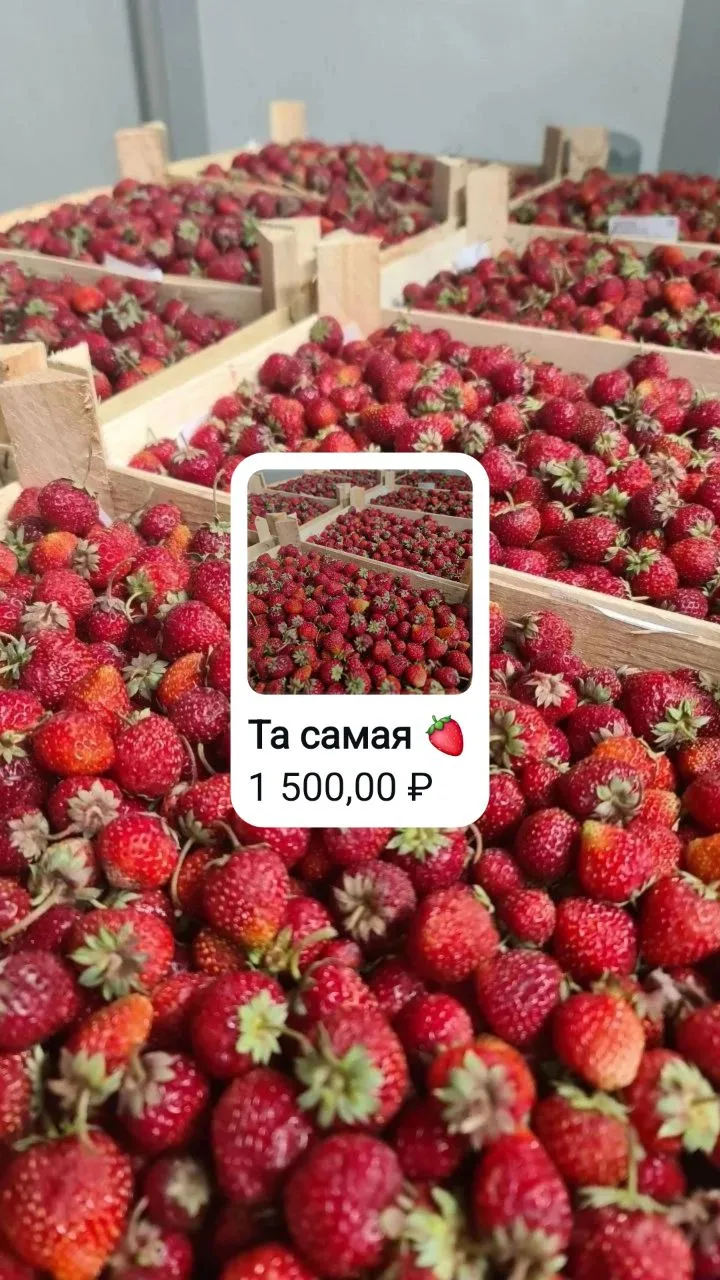 Ищешь ту самую клубнику, которую ел(-а)  в детстве?