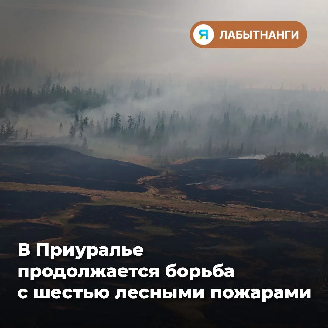 🔥 На утро 20 августа в Приуралье действуют шесть природных пожаров