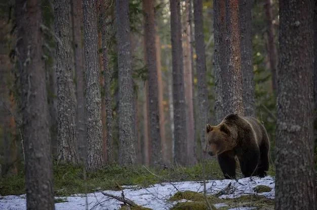 В Сибири медведь растерзал двух мужчин