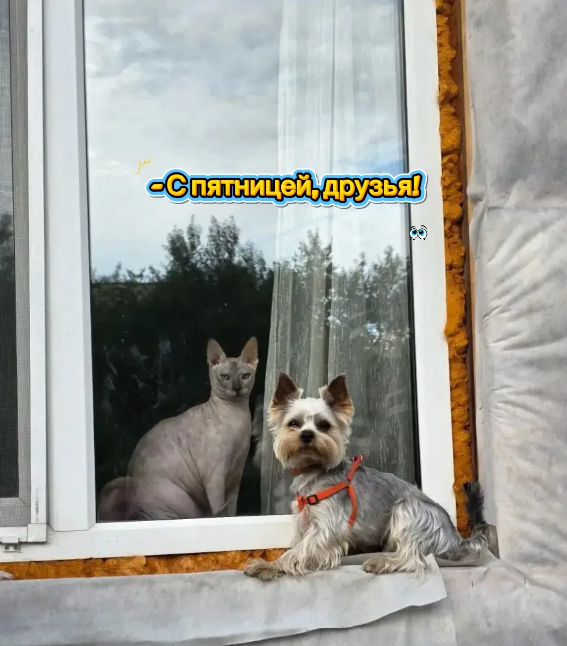 🔶 С пятницей!