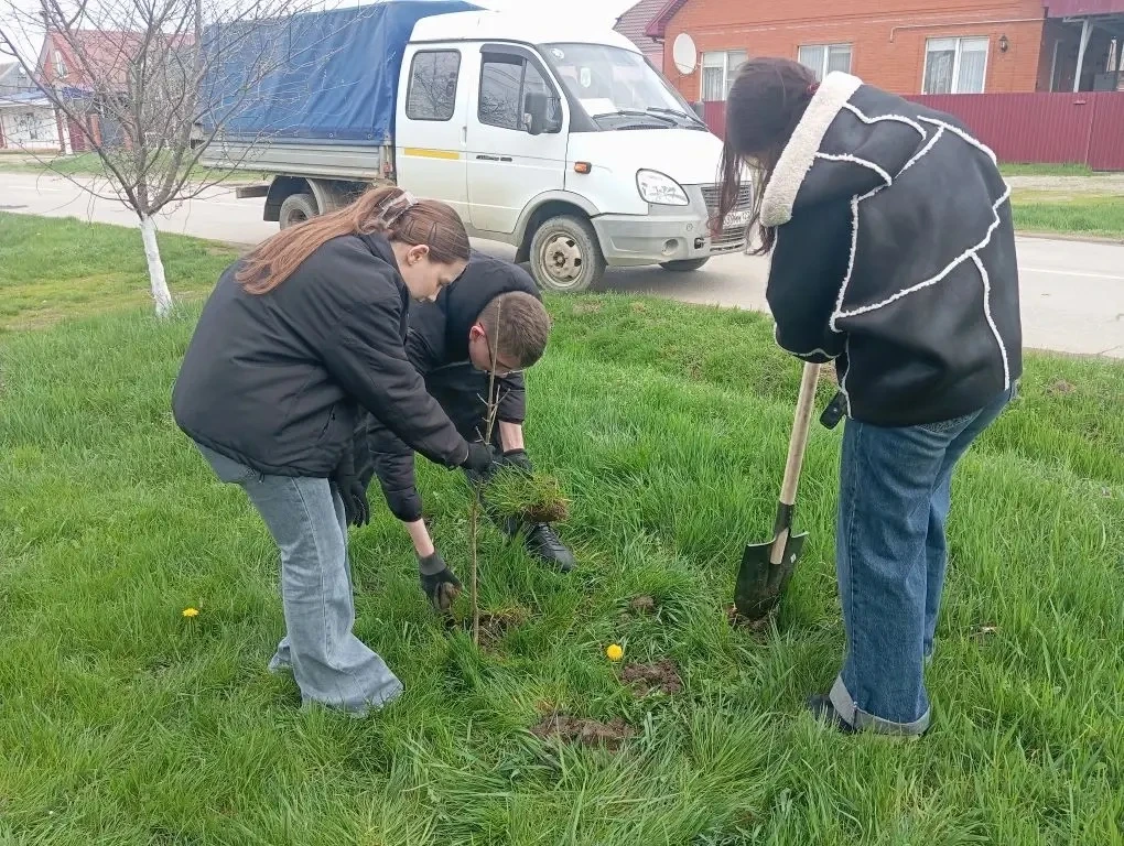 🌱 Посади дерево сегодня – наслаждайся чистым воздухом завтра! Организация экологических акций и обще