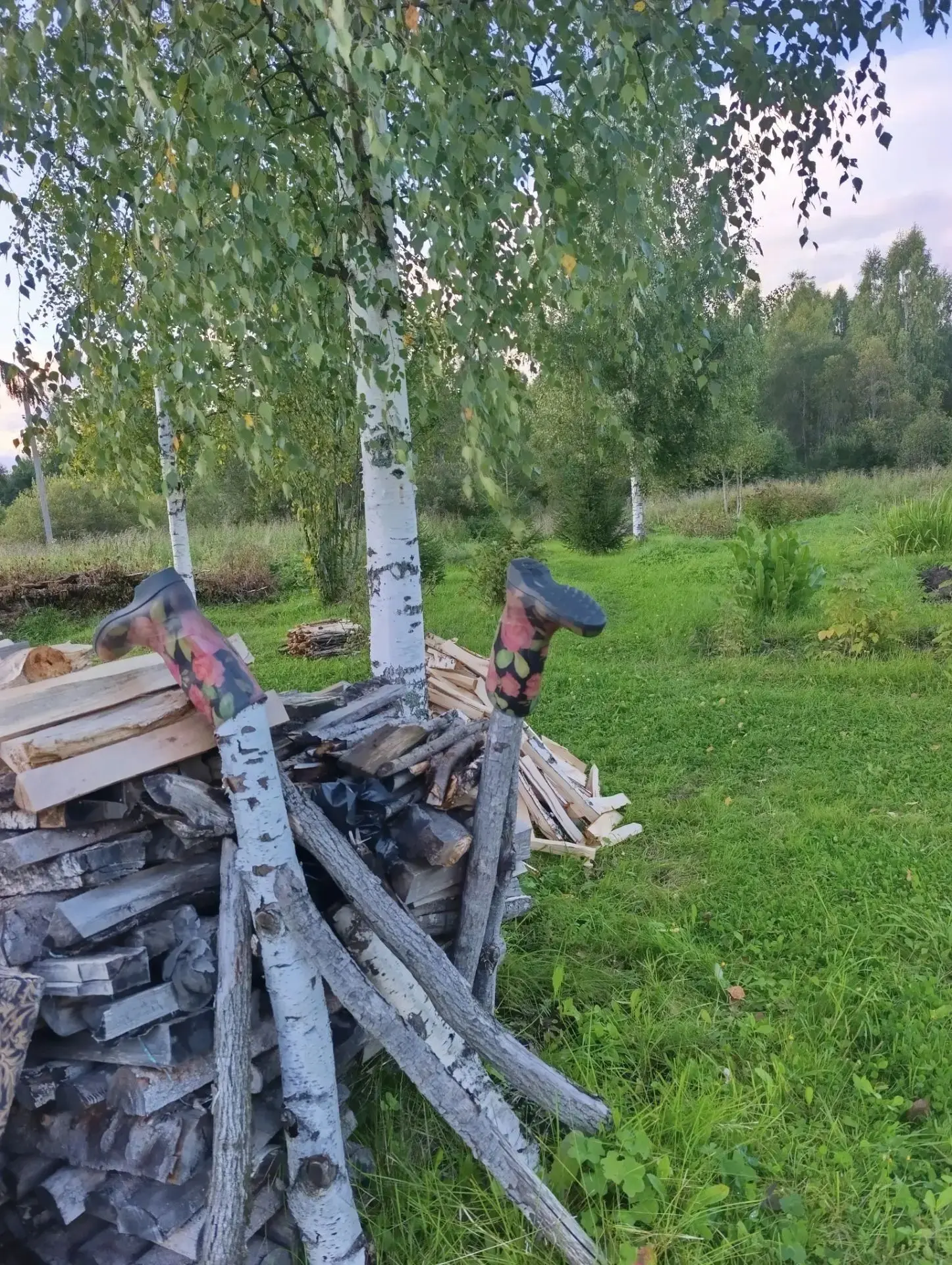 Лето ❤