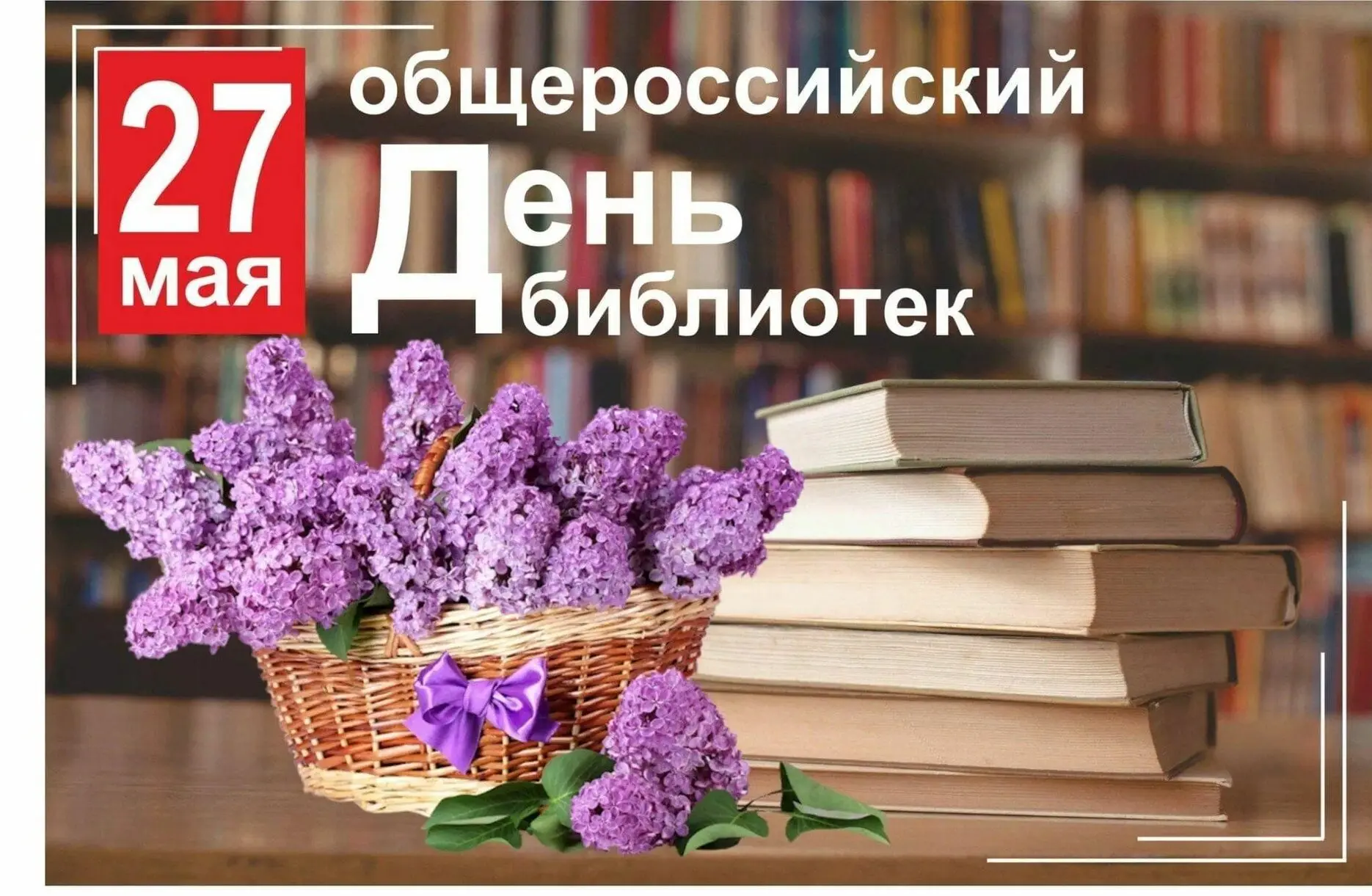Библиотека — это больше, чем просто здание с книгами. Это тихая гавань для ищущих знани...