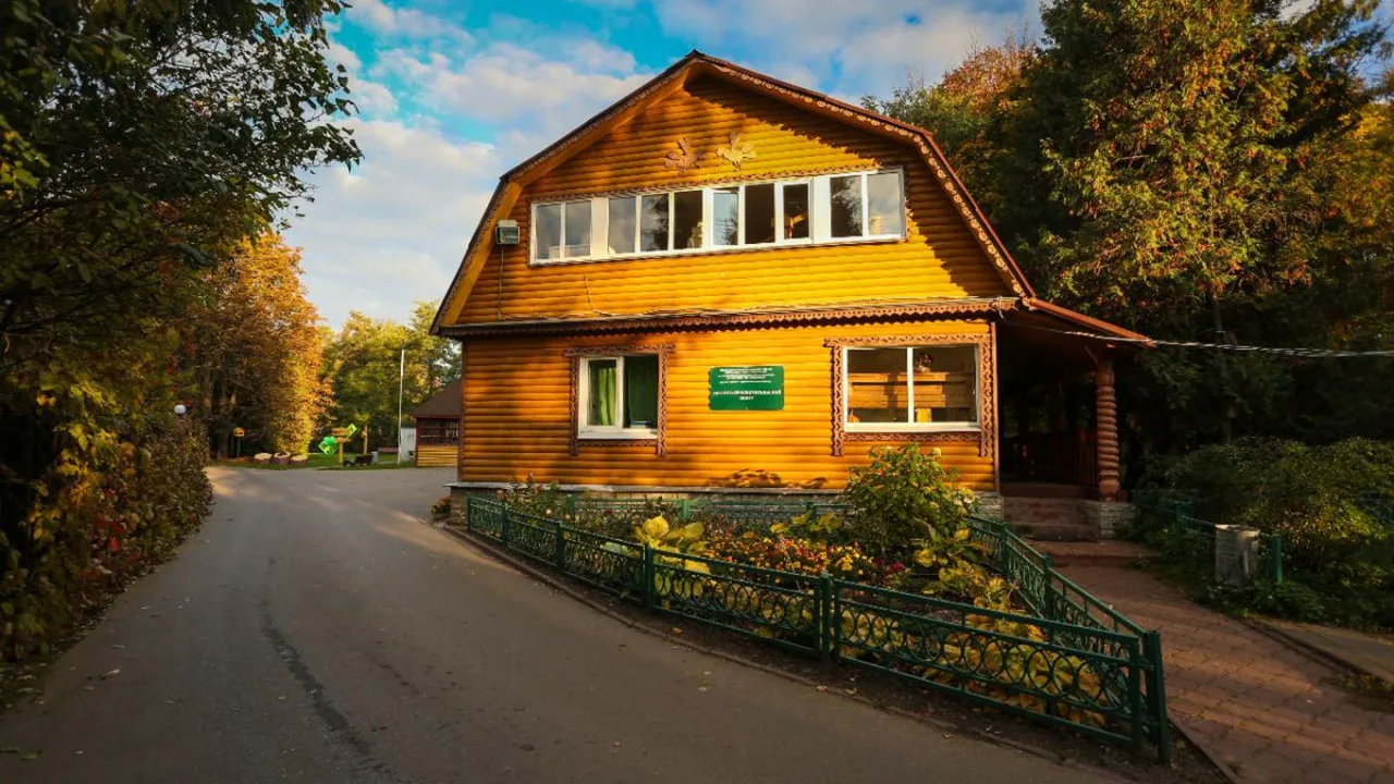 Лекция «Растения осенью: как природа нажимает кнопку "пауза"»