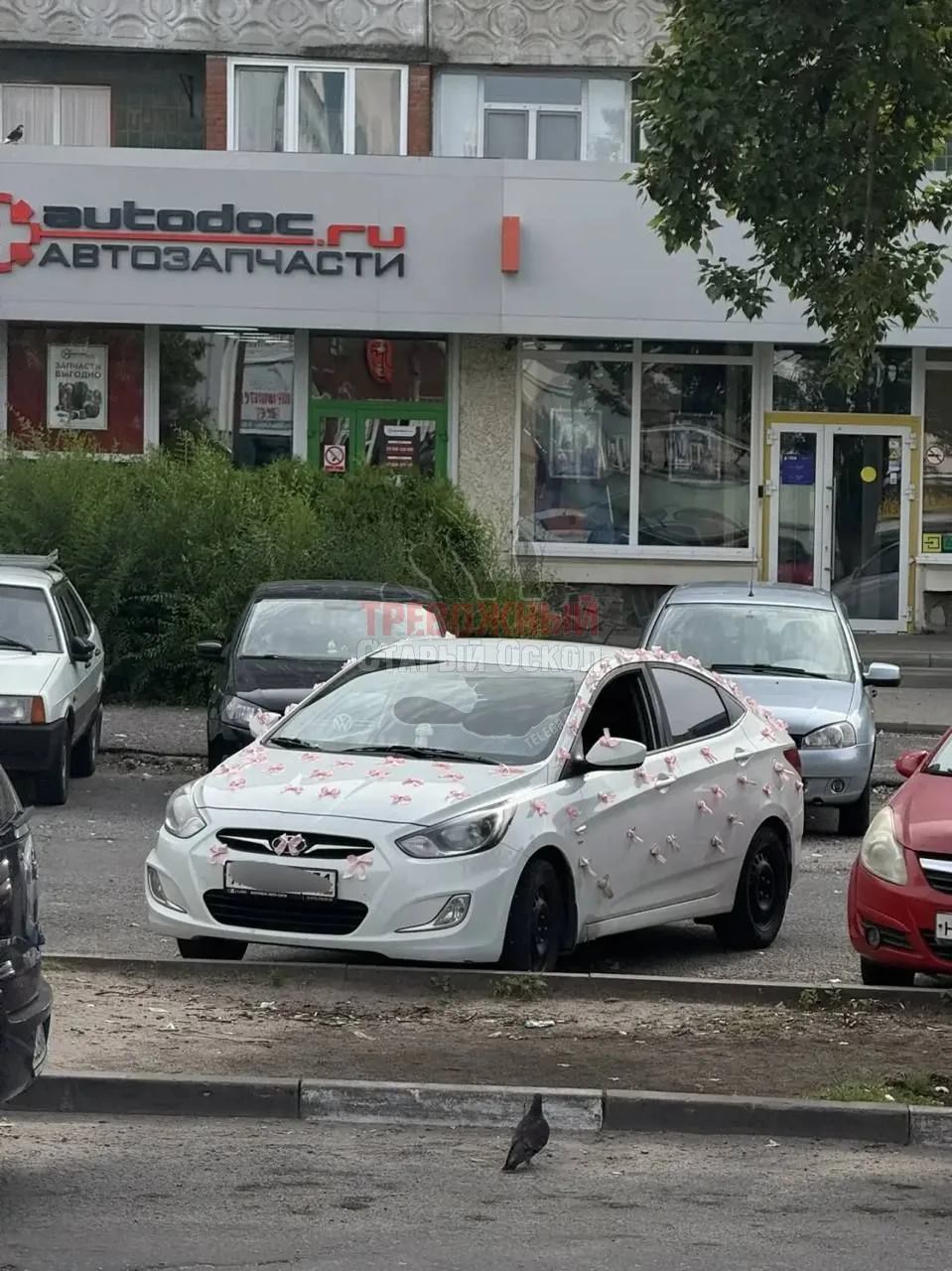 🎀Машину в бантиках, заметили на парковке около Бизнес Центра