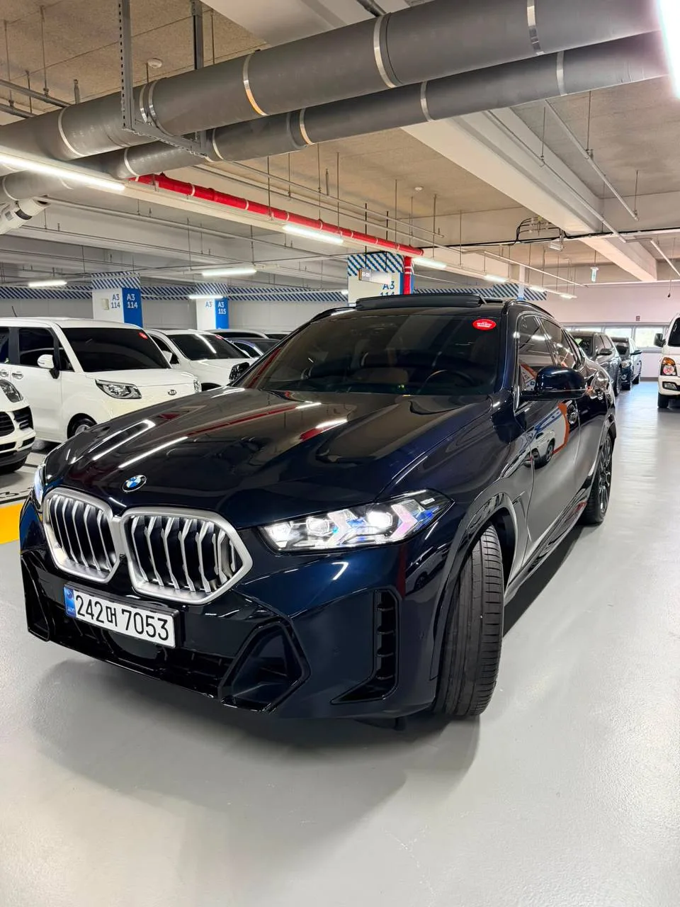 BMW X6 xDrive30d M Sport 3.0 дизель 2025 (синий на коричневом)