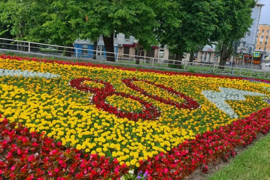 В Калининграде начали высаживать летние цветы к Дню города

В Калининграде приступили к высадке летн