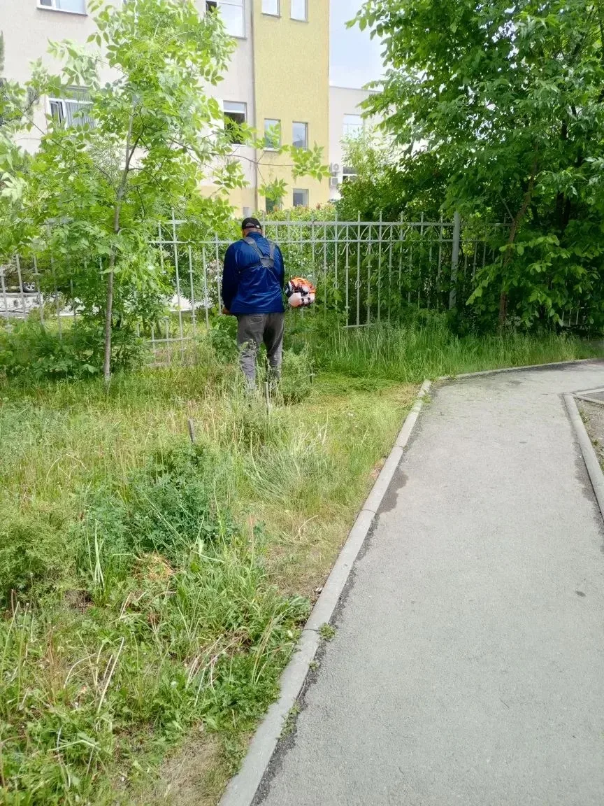 Проводим очередной покос травы во дворах 🌱.