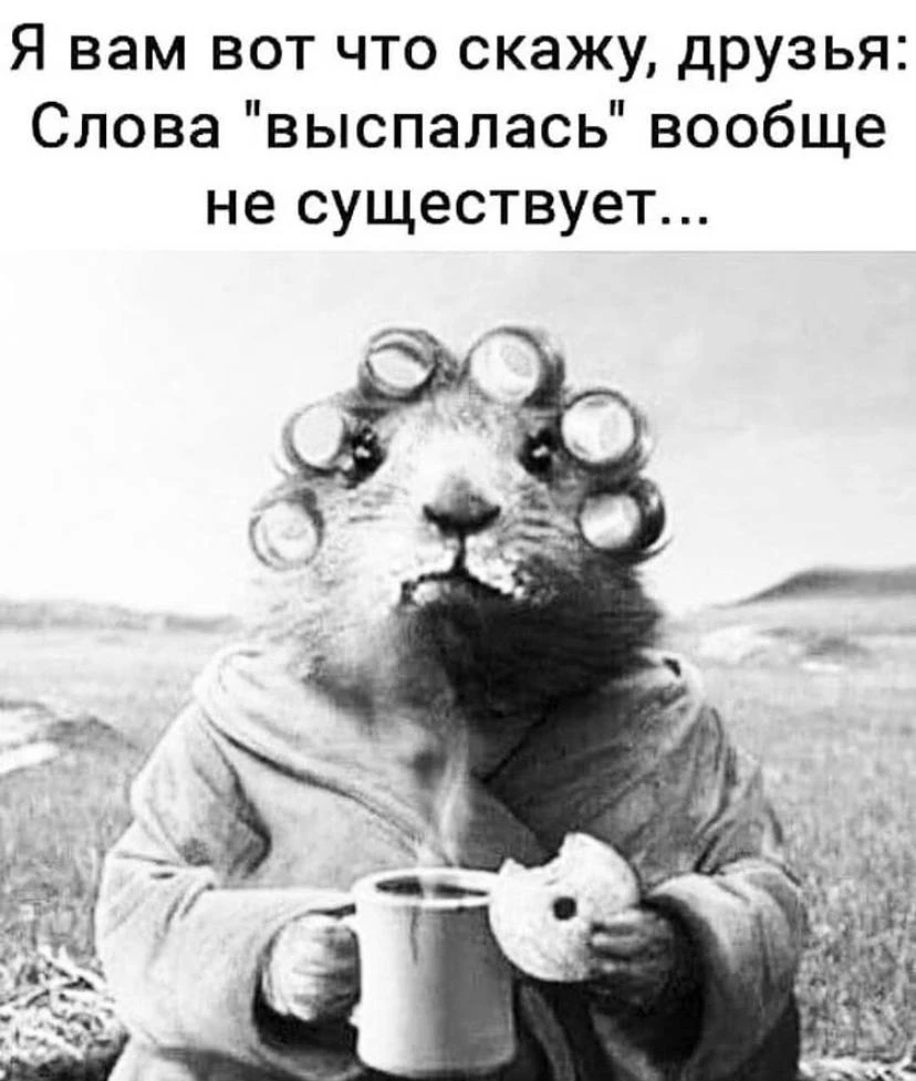 Ежик