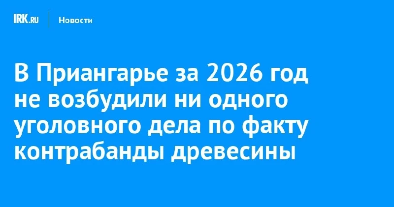 В Приангарье за 9 месяцев не завели ни одного уголовного дела о контрабанде древесины 🌲