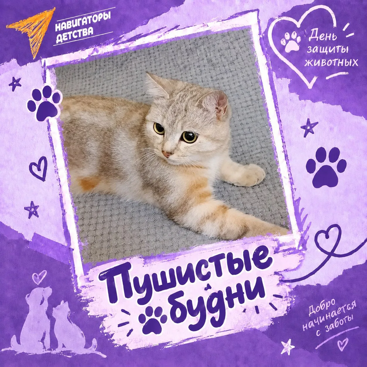 🐾 4 октября — День защиты животных. И мы запускаем онлайн-фотовыставку «Пушистые будни»!